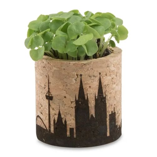 Kork plantekit - Billede 3